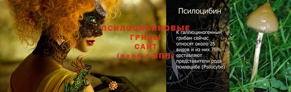 амф Алексин