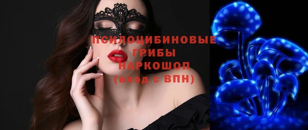 амф Алексин