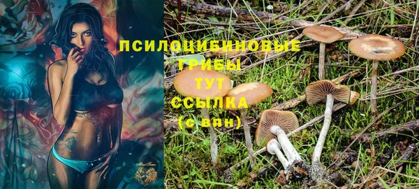 гидропоника Алексеевка