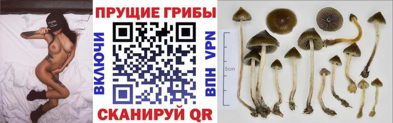 Псилоцибиновые грибы ЛСД  Алушта 